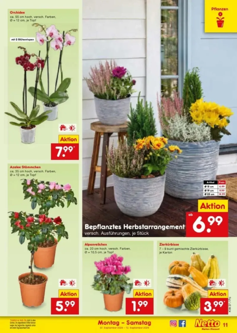 Netto Marken-Discount Prospekt vom 07.09.2026, Seite 17