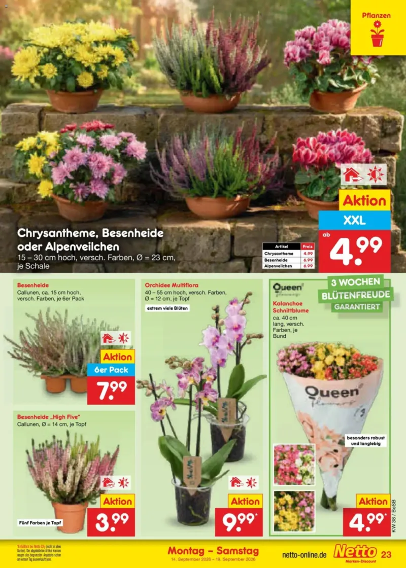 Netto Marken-Discount Prospekt vom 14.09.2026, Seite 33