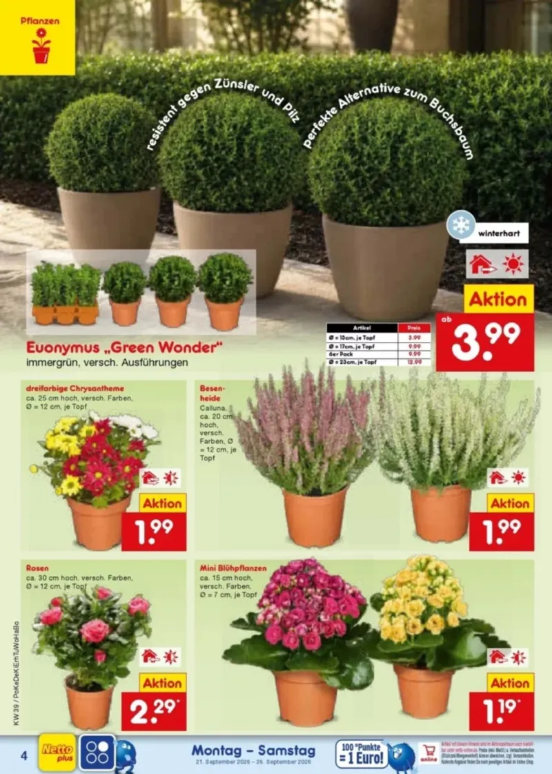 Netto Marken-Discount Prospekt vom 21.09.2026, Seite 4