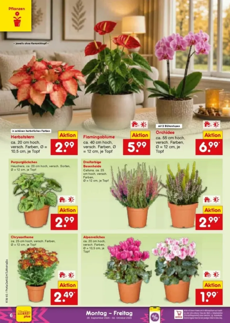 Netto Marken-Discount Prospekt vom 28.09.2026, Seite 6