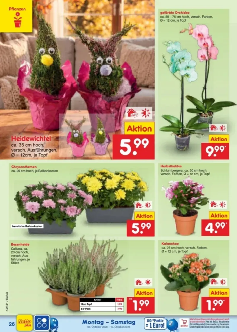 Netto Marken-Discount Prospekt vom 05.10.2026, Seite 30