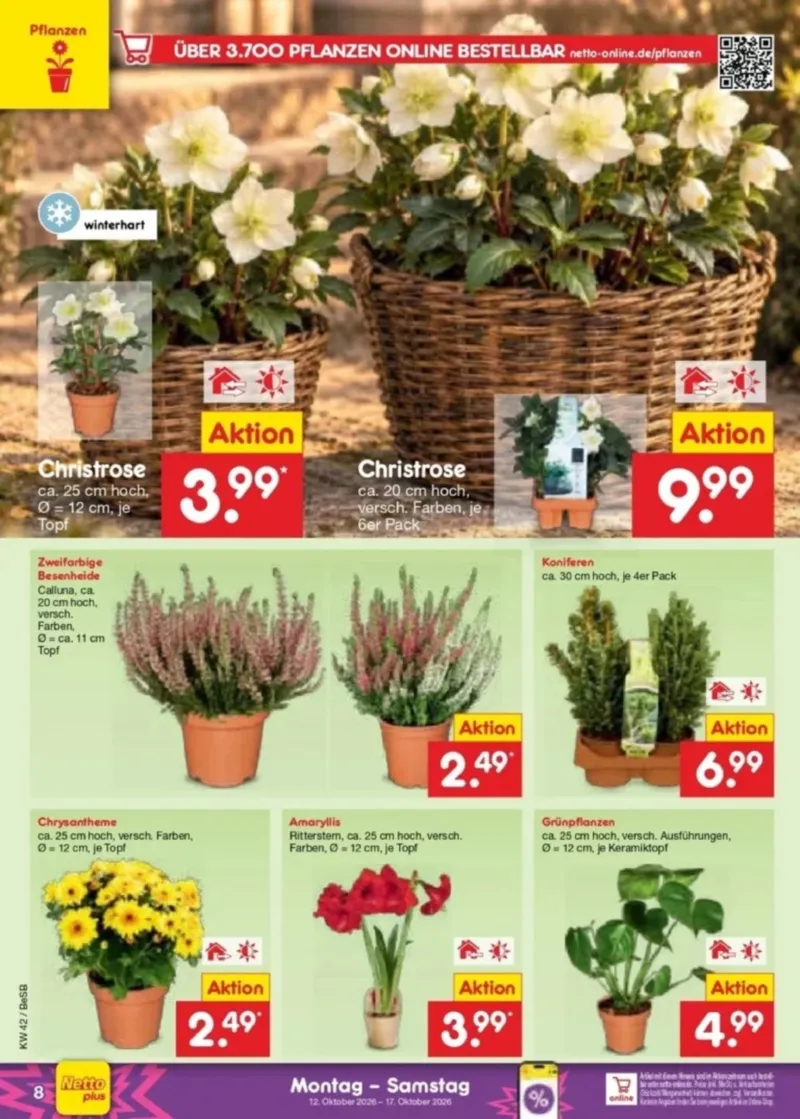 Netto Marken-Discount Prospekt vom 12.10.2026, Seite 10