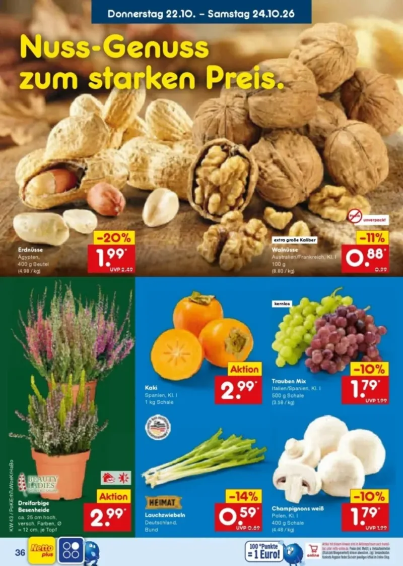 Netto Marken-Discount Prospekt vom 19.10.2026, Seite 48