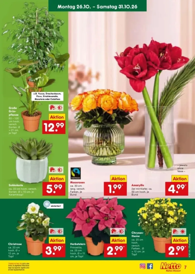 Netto Marken-Discount Prospekt vom 26.10.2026, Seite 9