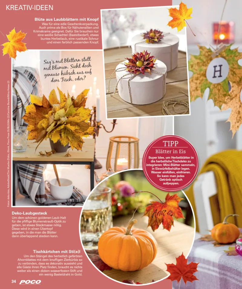 POCO Prospekt vom 01.09.2025, Seite 34