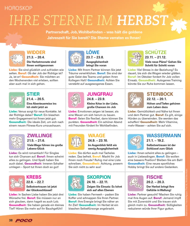 POCO Prospekt vom 01.09.2025, Seite 38