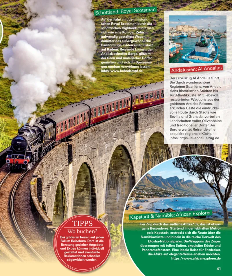 POCO Prospekt vom 01.09.2025, Seite 41