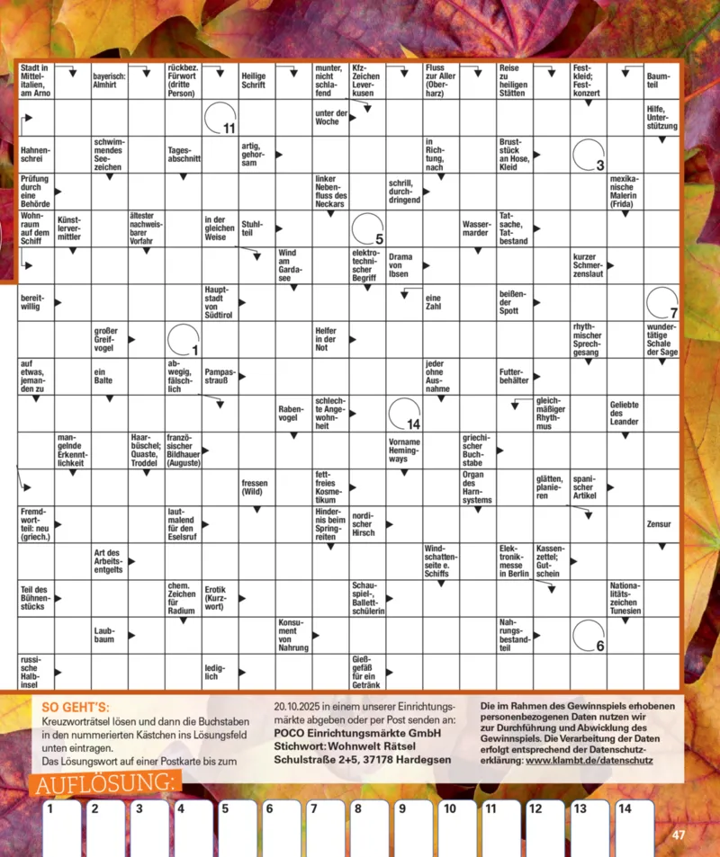 POCO Prospekt vom 01.09.2025, Seite 47