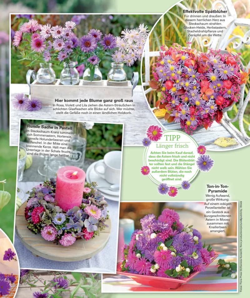 POCO Prospekt vom 01.09.2025, Seite 53