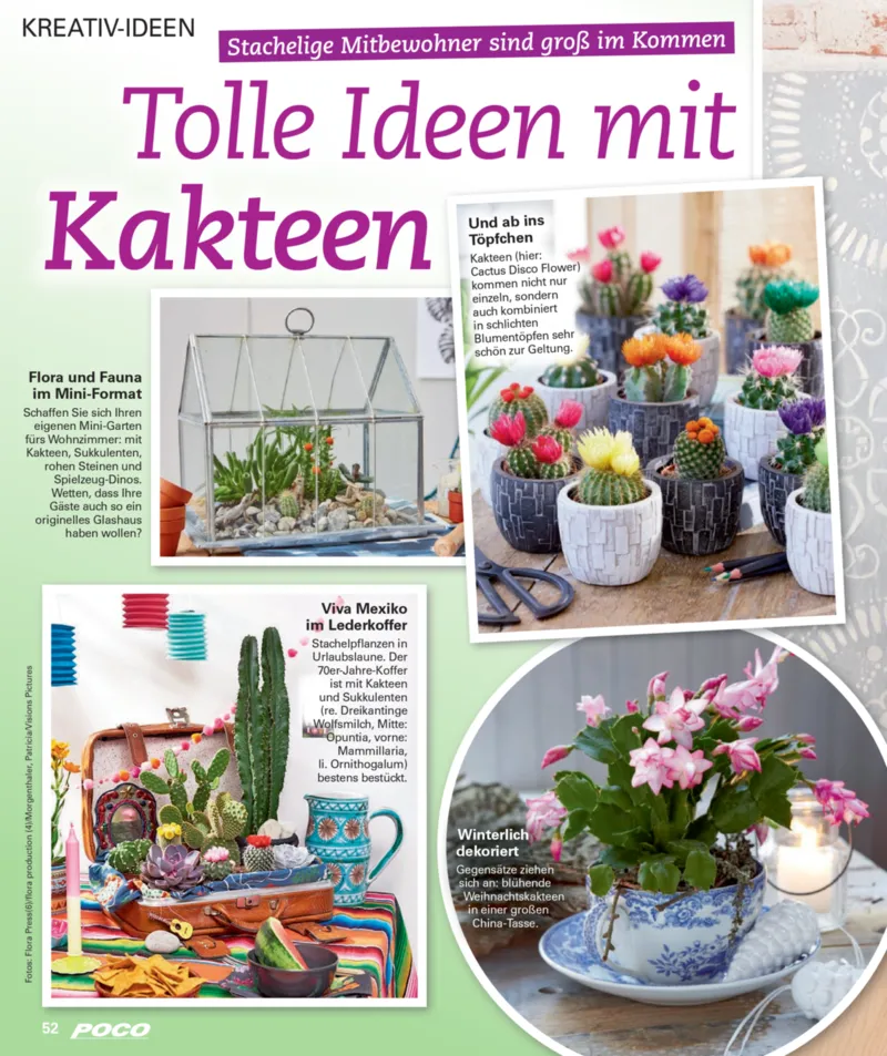 POCO Prospekt vom 01.12.2025, Seite 52