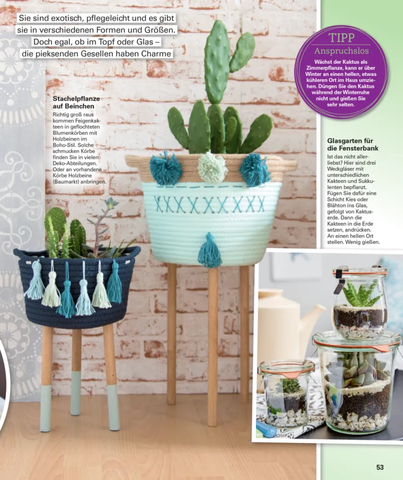 POCO Prospekt vom 01.12.2025, Seite 53