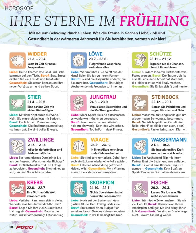 POCO Prospekt vom 16.02.2026, Seite 38