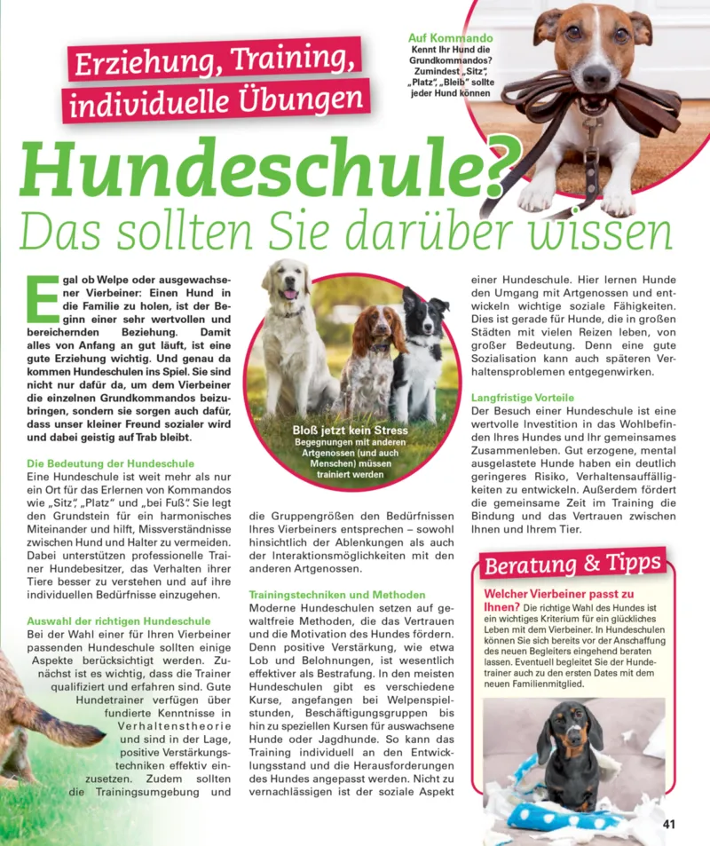 POCO Prospekt vom 16.02.2026, Seite 41