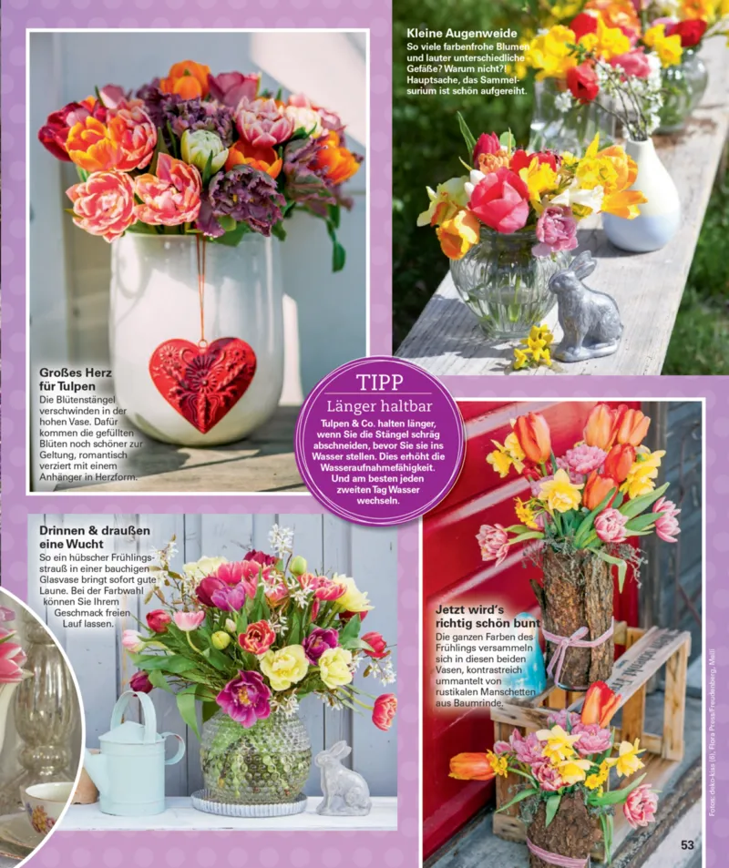 POCO Prospekt vom 16.02.2026, Seite 53