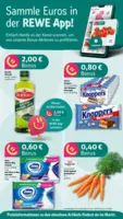REWE Prospekt vom 11.08.2025