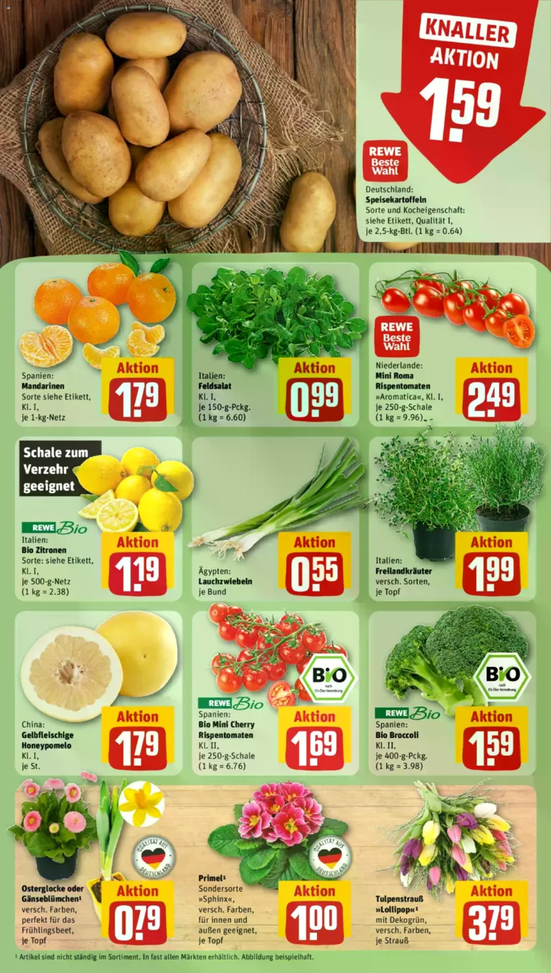 REWE Prospekt vom 16.02.2026, Seite 9