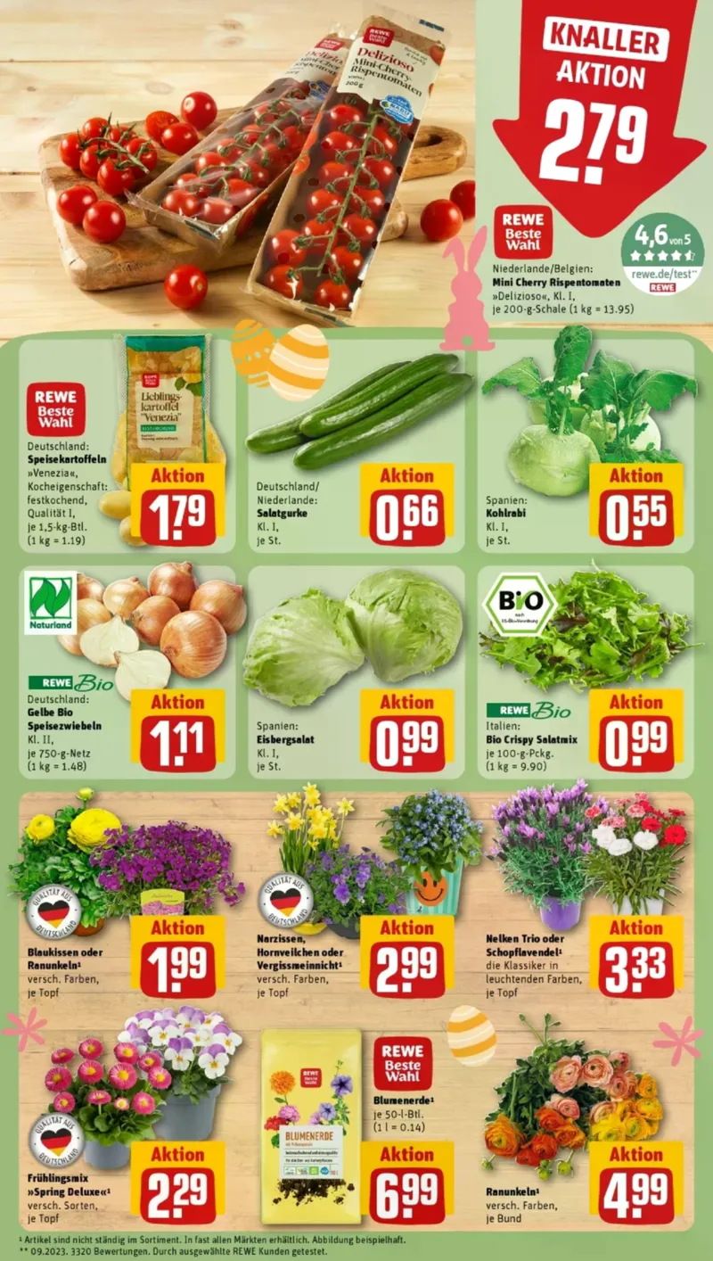 REWE Prospekt vom 23.03.2026, Seite 9