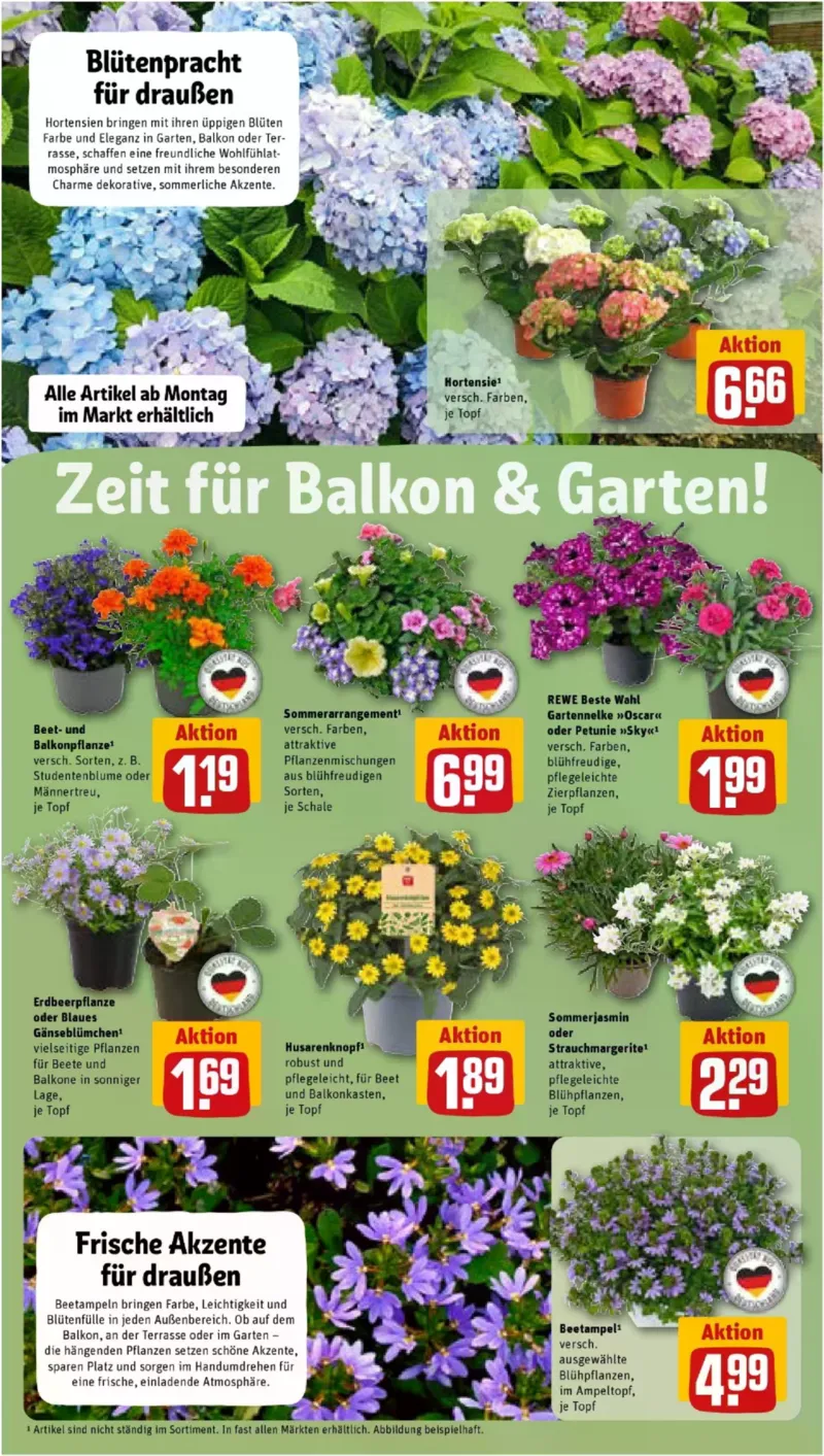 REWE Prospekt vom 11.05.2026, Seite 6