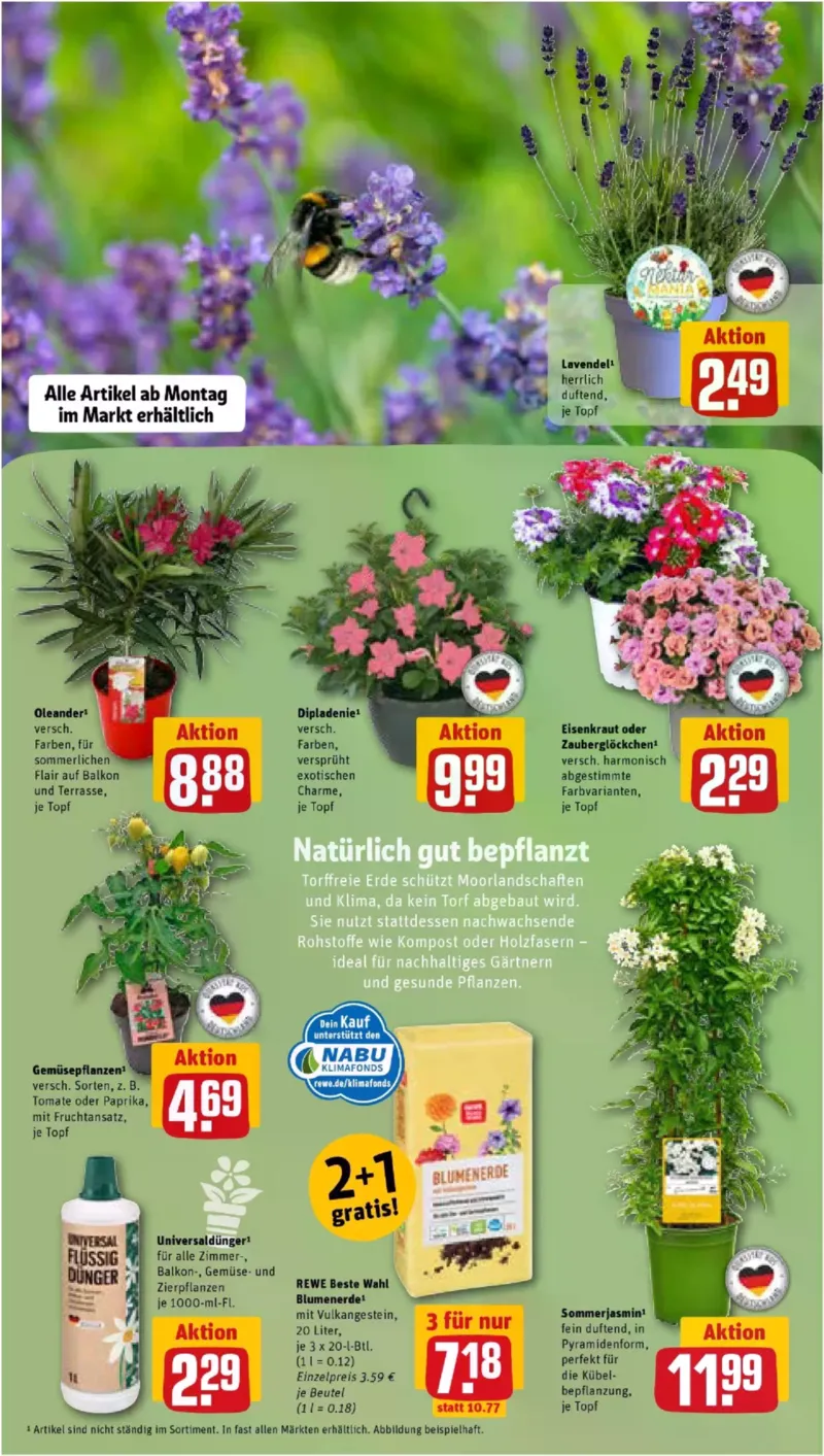 REWE Prospekt vom 11.05.2026, Seite 7