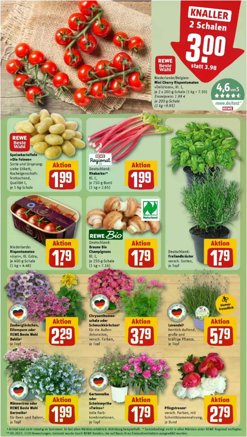 REWE Prospekt vom 01.06.2026, Seite 5
