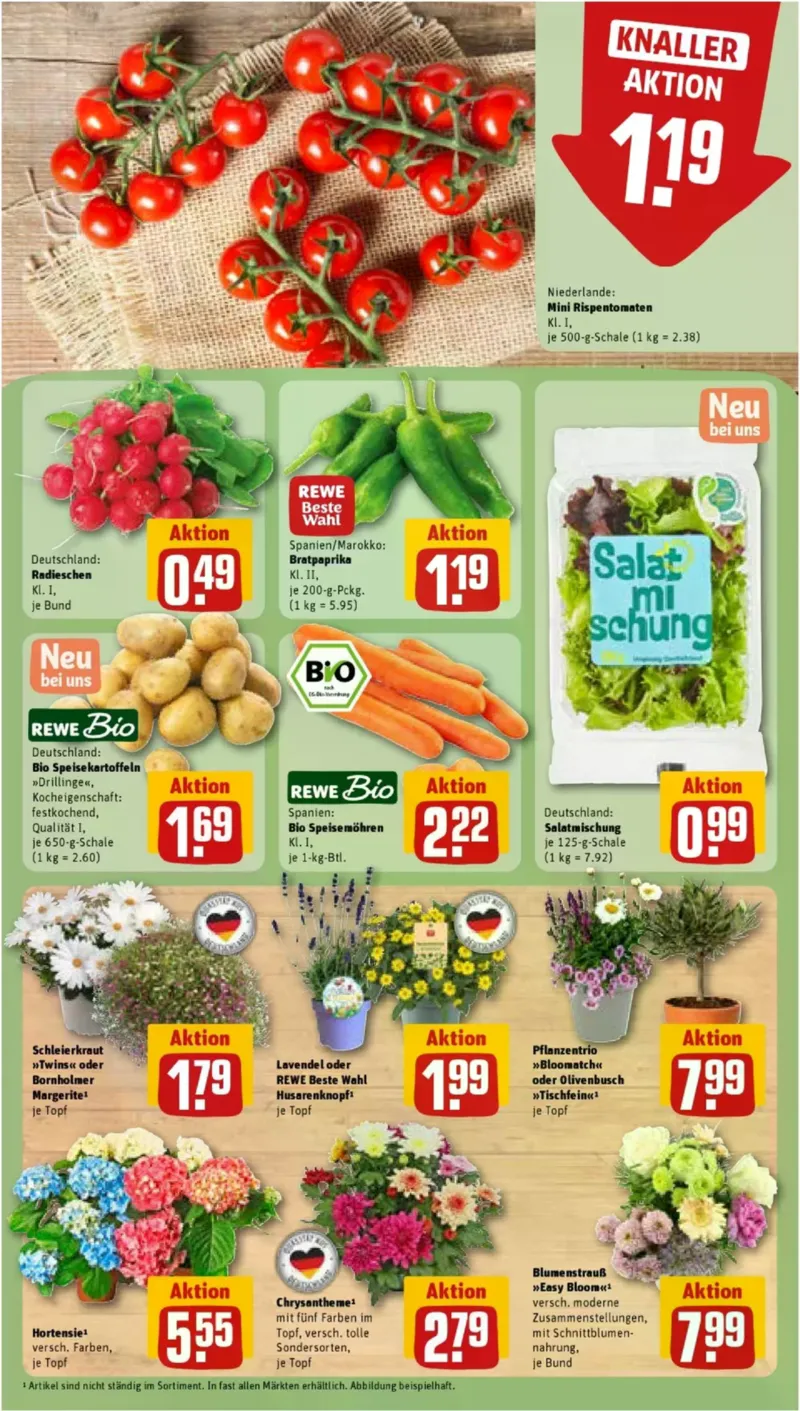 REWE Prospekt vom 15.06.2026, Seite 11