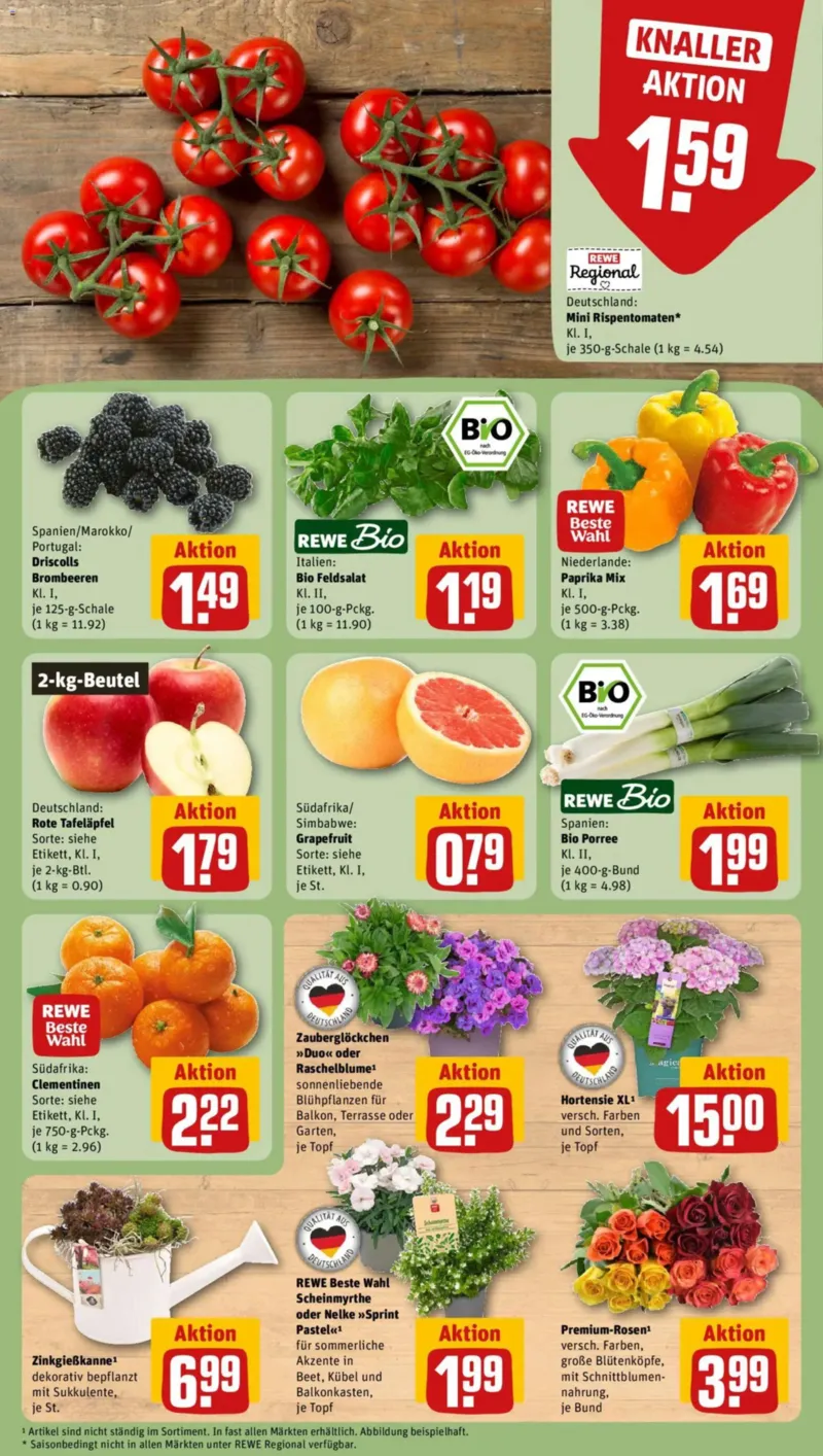 REWE Prospekt vom 22.06.2026, Seite 9