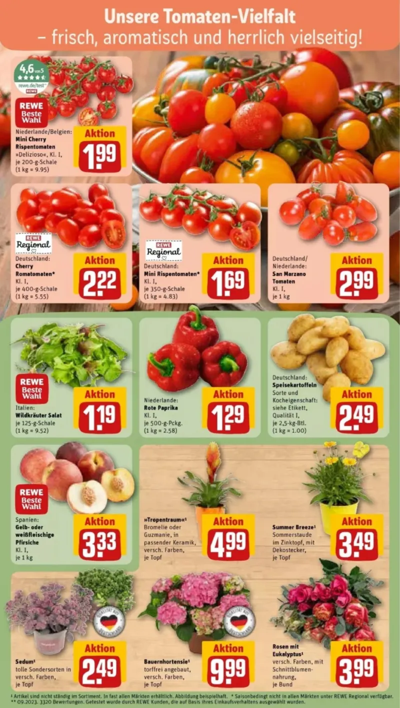 REWE Prospekt vom 13.07.2026, Seite 7