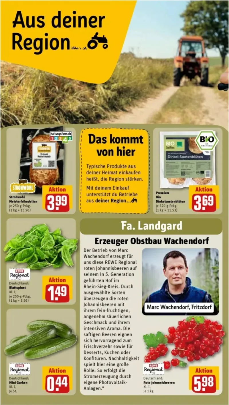 REWE Prospekt vom 27.07.2026, Seite 23