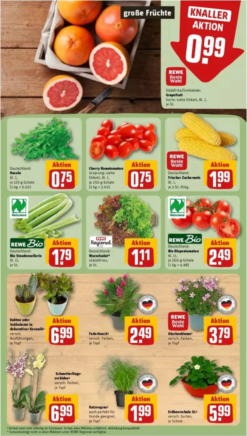 REWE Prospekt vom 27.07.2026, Seite 7