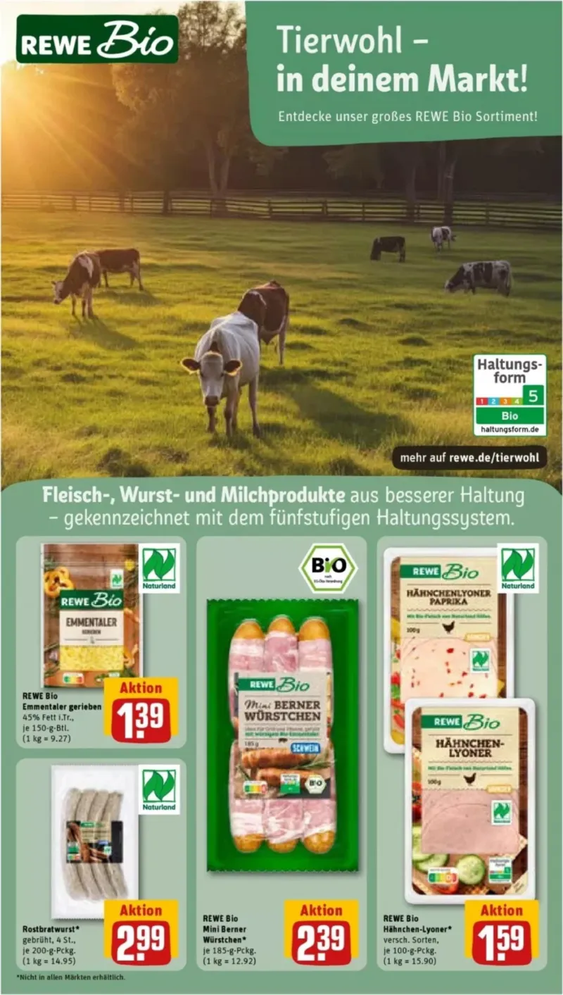 REWE Prospekt vom 03.08.2026, Seite 15