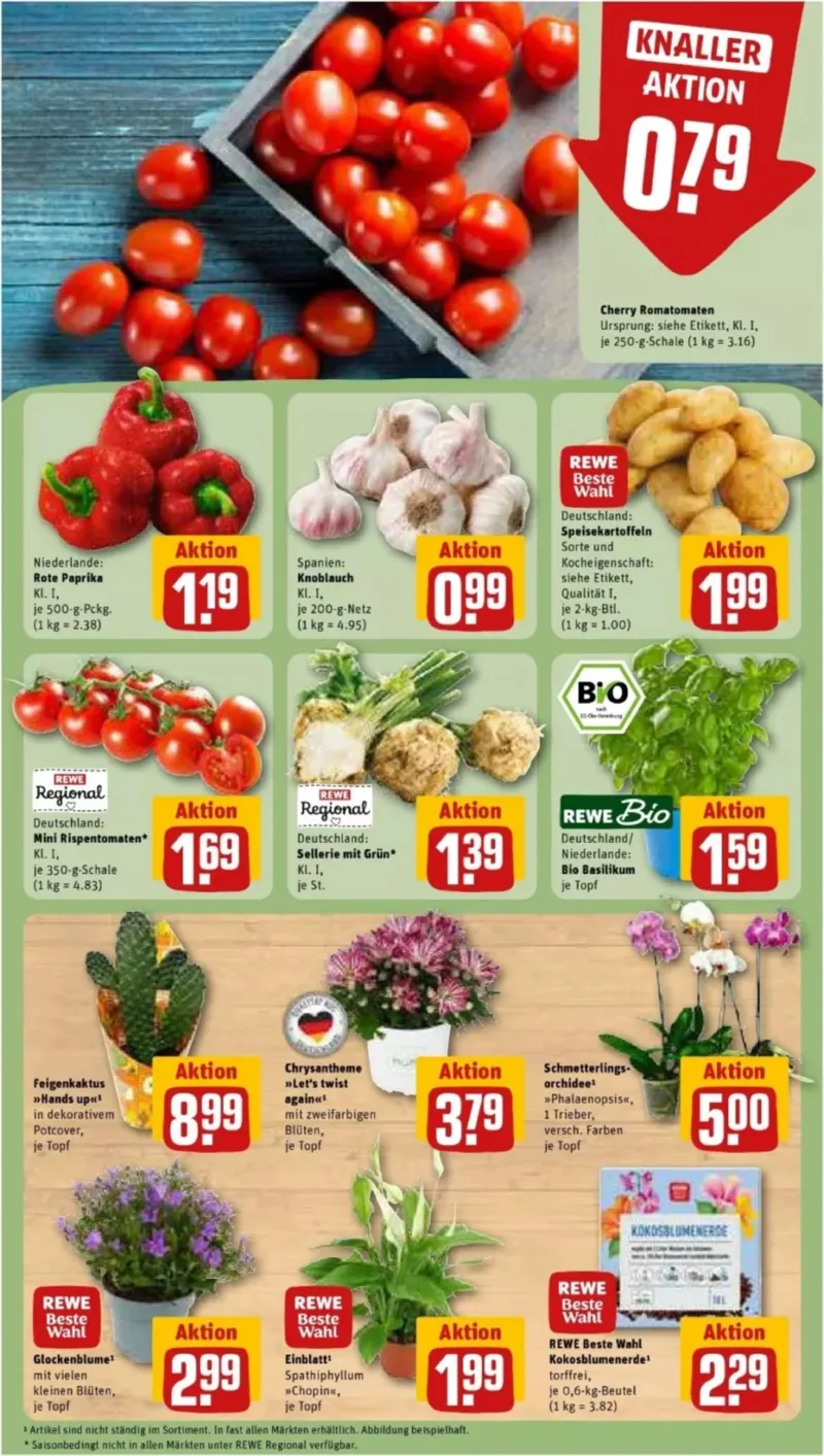 REWE Prospekt vom 10.08.2026, Seite 5