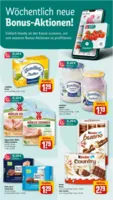 REWE Prospekt vom 10.08.2026