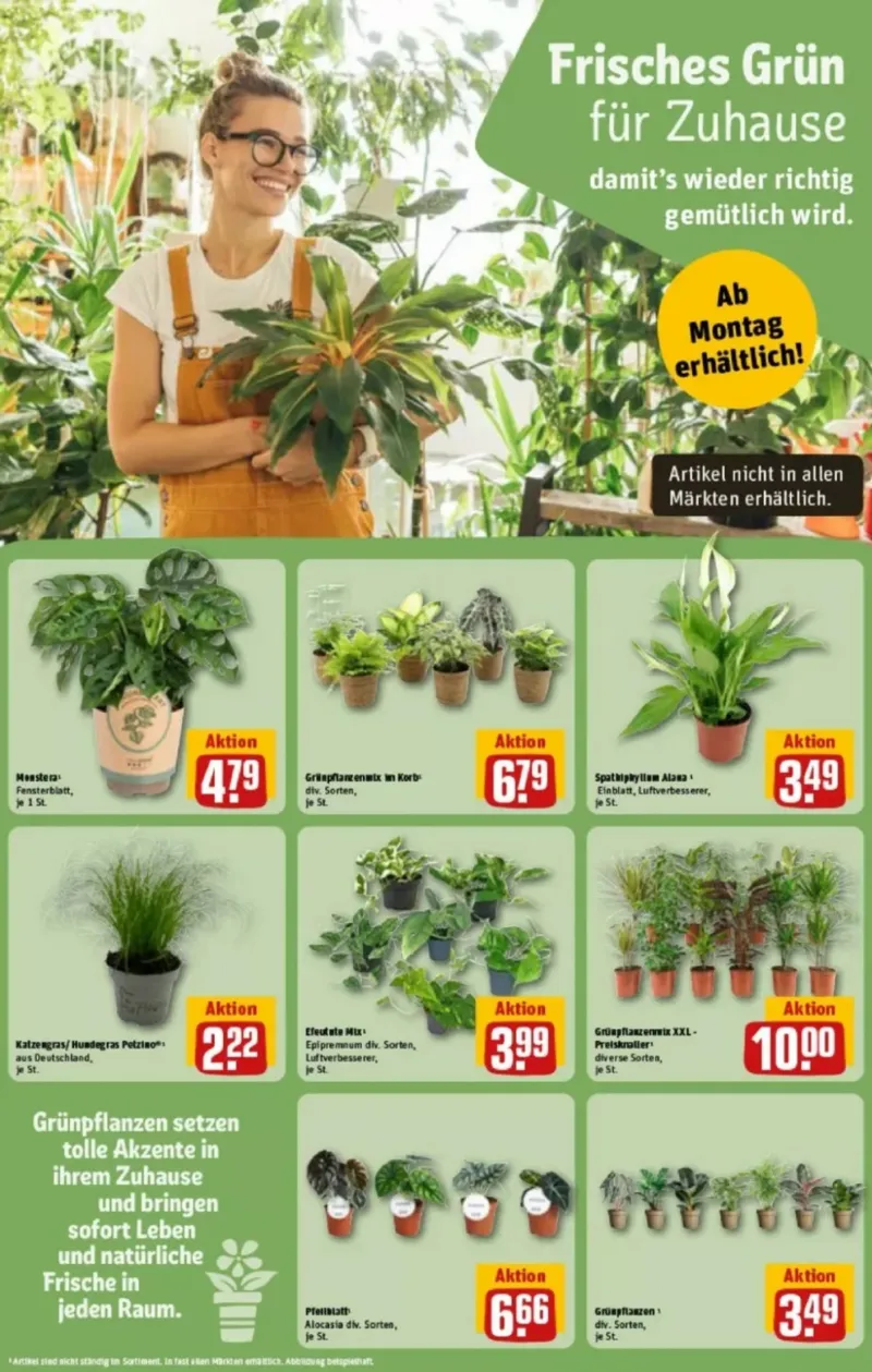 REWE Prospekt vom 17.08.2026, Seite 10