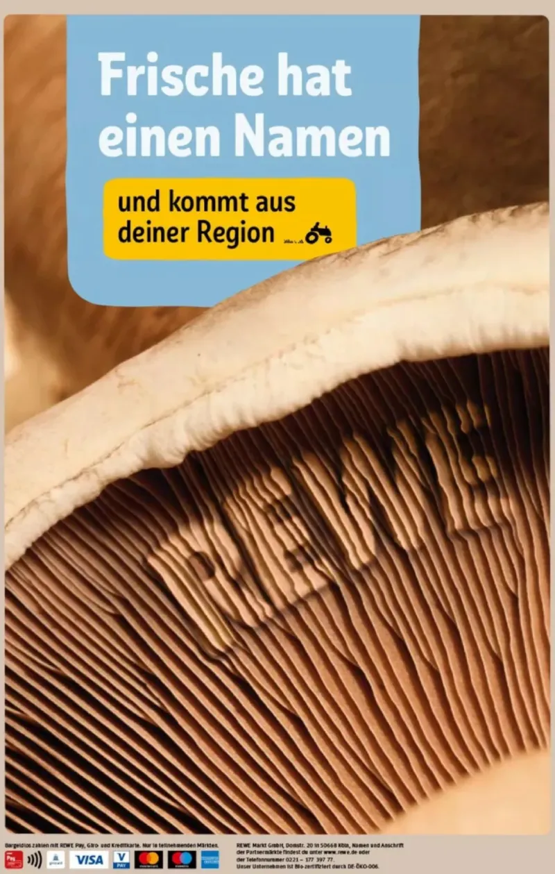 REWE Prospekt vom 17.08.2026, Seite 34
