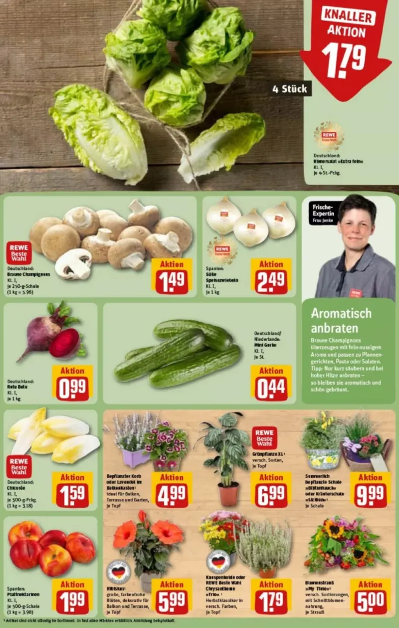 REWE Prospekt vom 17.08.2026, Seite 9