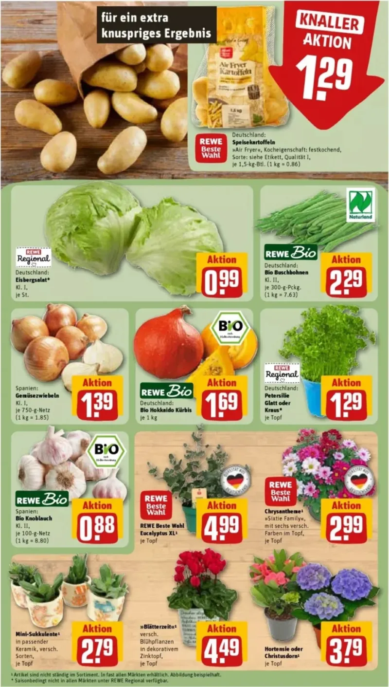 REWE Prospekt vom 24.08.2026, Seite 7