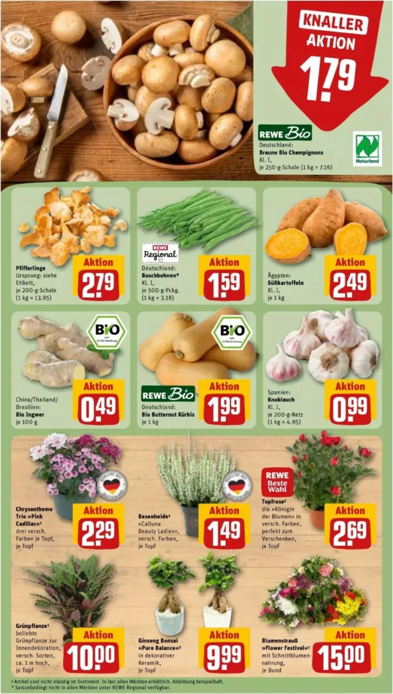 REWE Prospekt vom 31.08.2026, Seite 7