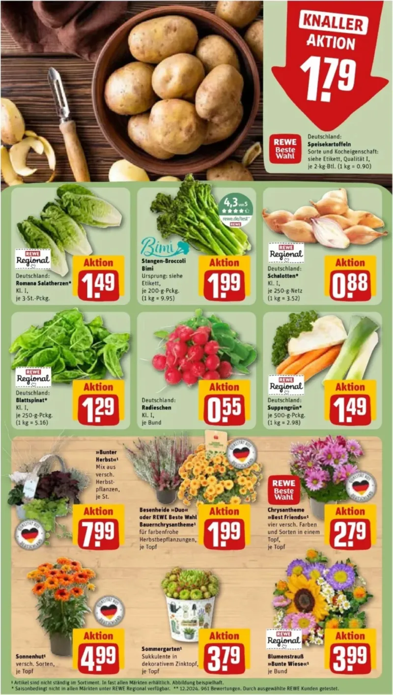 REWE Prospekt vom 07.09.2026, Seite 7