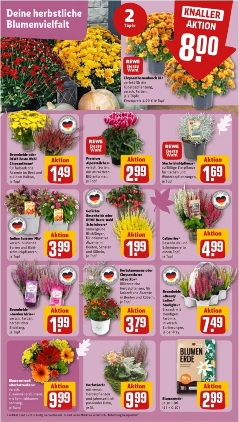REWE Prospekt vom 14.09.2026, Seite 5