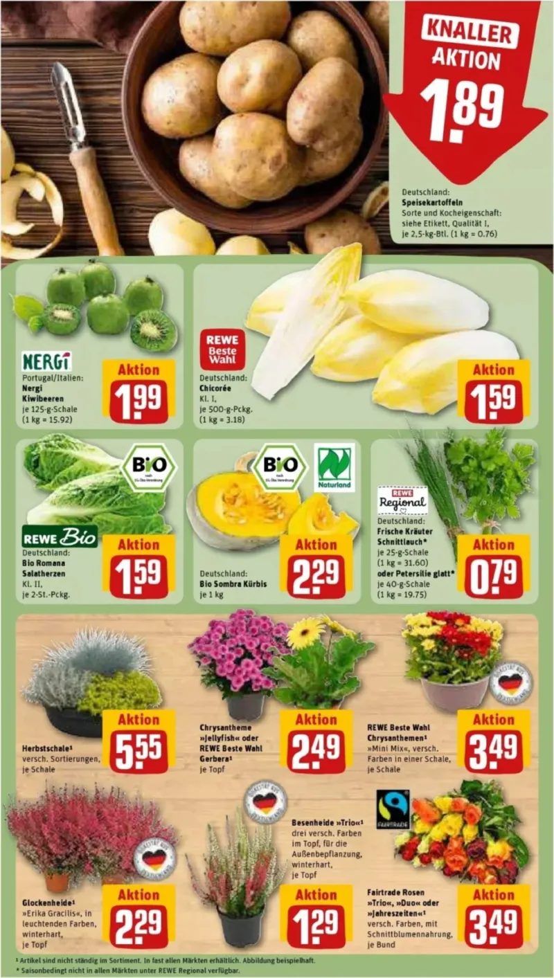 REWE Prospekt vom 21.09.2026, Seite 13