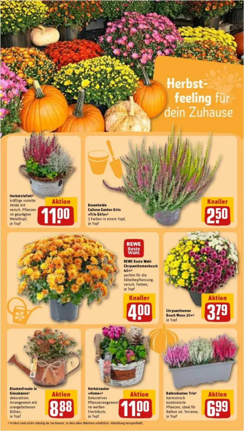 REWE Prospekt vom 21.09.2026, Seite 32