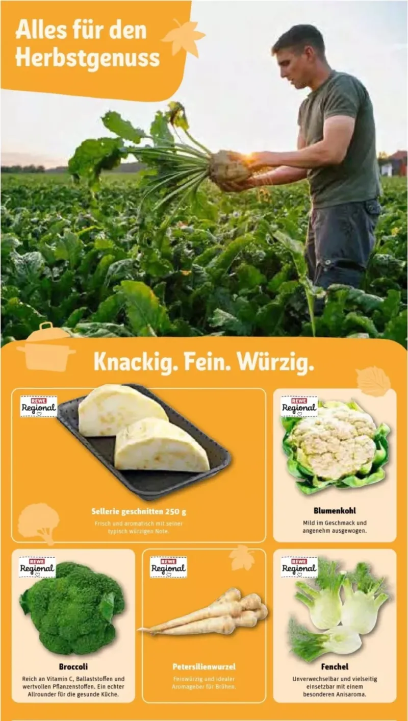REWE Prospekt vom 28.09.2026, Seite 31