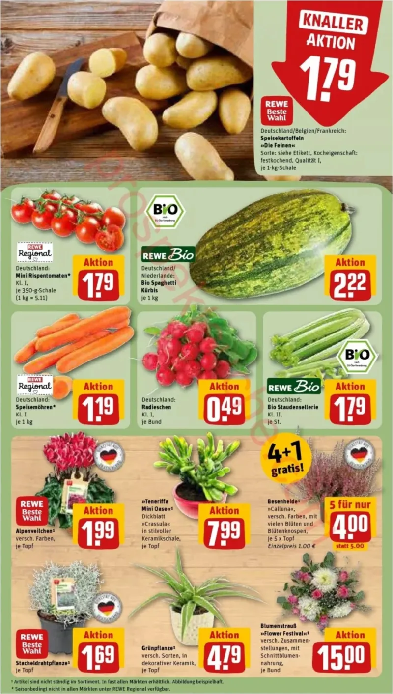 REWE Prospekt vom 05.10.2026, Seite 7