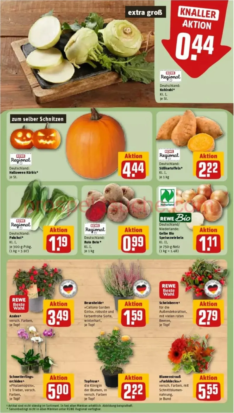 REWE Prospekt vom 12.10.2026, Seite 5