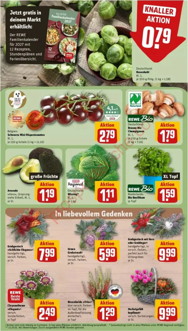REWE Prospekt vom 19.10.2026, Seite 9
