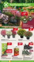 Raiffeisen-Markt Prospekt vom 26.08.2026