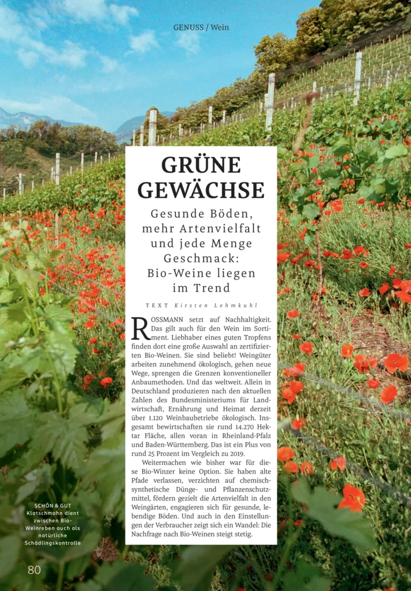 ROSSMANN Prospekt vom 01.11.2025, Seite 80