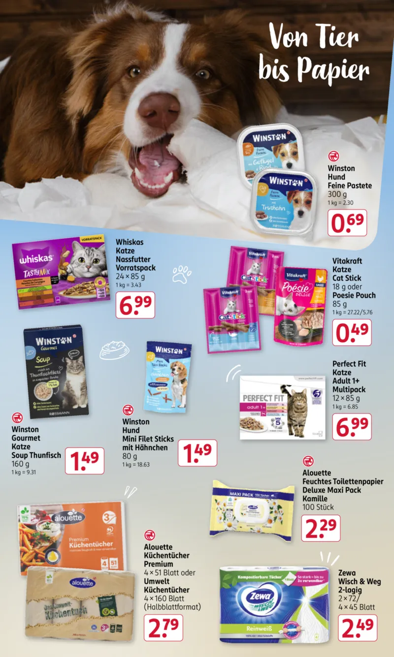 ROSSMANN Prospekt vom 03.11.2025, Seite 19