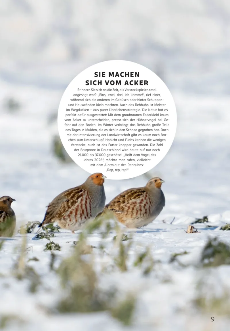 ROSSMANN Prospekt vom 01.01.2026, Seite 9