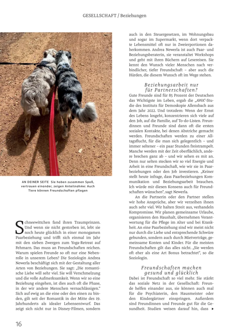 ROSSMANN Prospekt vom 01.02.2026, Seite 16